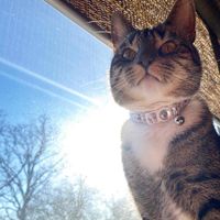 Tiara Francis profile picture