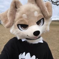 Alareabdulqua profile picture