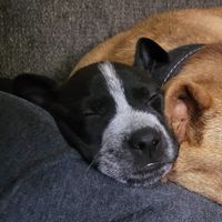 Sarah Land profile picture