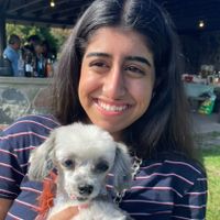 Amrita profile picture