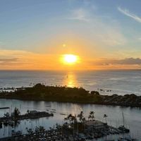 Emily E. profile picture