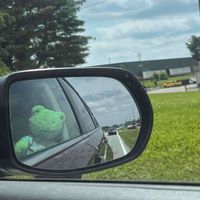 Bee 🐝 profile picture