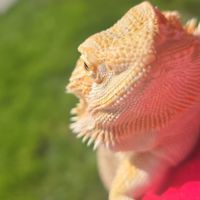 Jessie Wagner profile picture