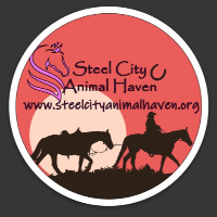 Steel City Animal Haven profile picture