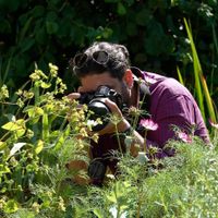 M.ALK profile picture