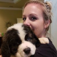 Amanda Hoogervorst profile picture