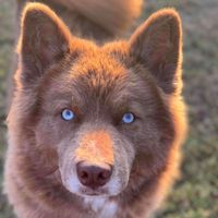 Patrick Trahan profile picture