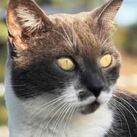 Jessica Taylor profile picture