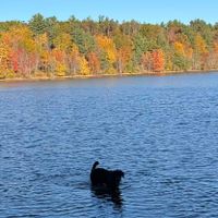 Maura profile picture