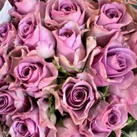 Mama Bread profile picture