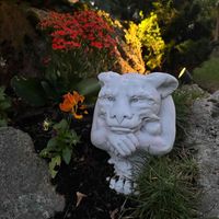 The Garden Variety Witch profile picture