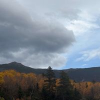 Amber Brinks profile picture