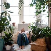 Rose Quartz Edits by Jo profile picture