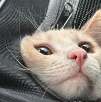 nate profile picture