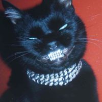 ROMANN profile picture