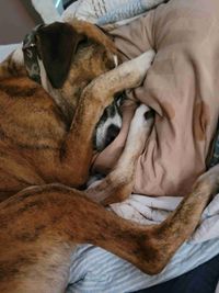 Blair Frisbie profile picture