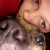 Alexa Alvizar profile picture