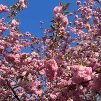 Stacey W profile picture