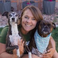 Katie Grissum profile picture