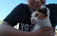 Znjuka profile picture