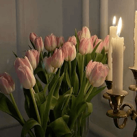 Amalia🫶🏼 profile picture