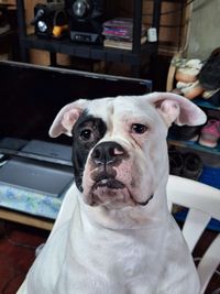 Jalen Rose profile picture