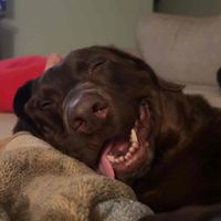 Megan G profile picture