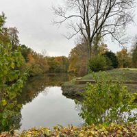 Lydia Denn profile picture