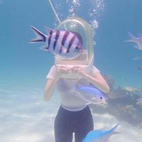 Jess Estrella profile picture