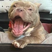 Jess profile picture