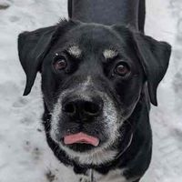 Minak profile picture