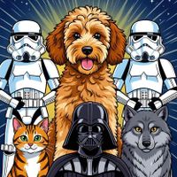 EmpireOfVisuals profile picture