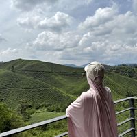 Haniyah Umair profile picture