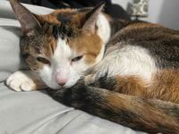 Laney profile picture