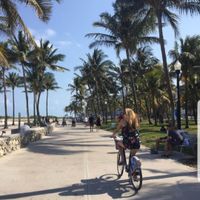 Kelly McKeeman profile picture