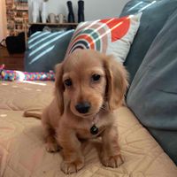 Sarah Pratt profile picture