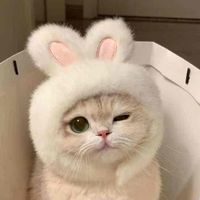 enoki profile picture