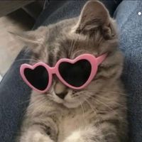 Ginevra profile picture