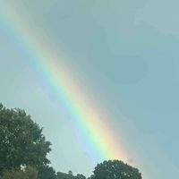 Jess 🌠 profile picture