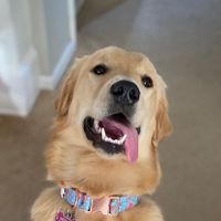 Meghan Swann profile picture