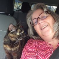 A Davis profile picture