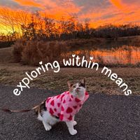 exploring within means profile picture