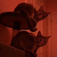 Chloe Rierson profile picture