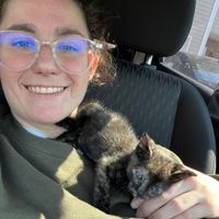 Nancy Benedetto profile picture