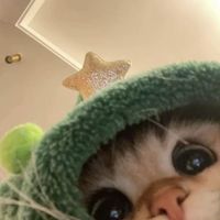Elchi profile picture