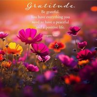 Fashion world profile picture