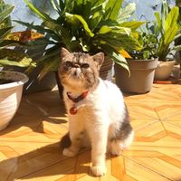 Prita rosita profile picture
