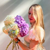 Sammy Jean profile picture