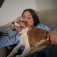 Nancy Liset profile picture