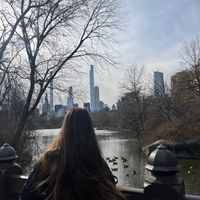 Ines Hurley profile picture